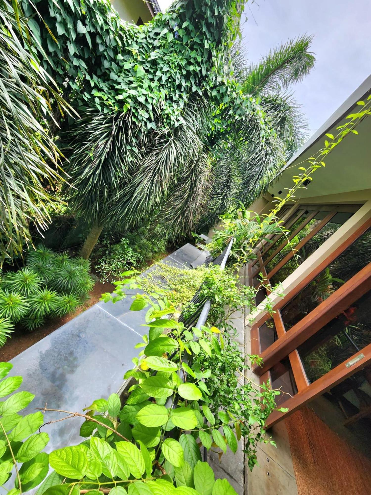 Cozy Luxury Room With Balcony View ! Rajagiriya Exteriér fotografie